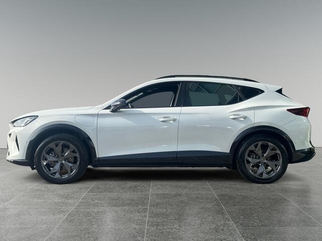 Cupra Formentor 1.5 204pk TSI e-Hybrid Business Cruise control adaptief | Voorstoelen verwarmd | Achteruitrijcamera