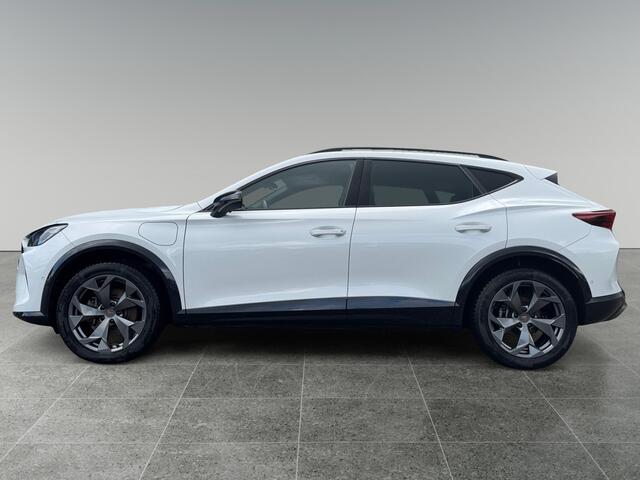 Cupra Formentor 1.5 204pk TSI e-Hybrid Business All-season banden | Adaptive Cruise Control | 360 graden camera