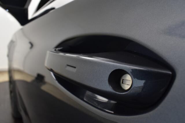 Cupra Leon 2415PK VZ Black Edition Camera 19Inch Virtual