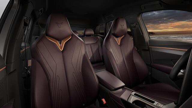 Cupra Terramar 1.5 TSI e-Hybrid 272 6DSG VZ Performance | 360 graden camera | Achteruitrijcamera | Draadloze Apple CarPlay(TM), Android Auto(TM)