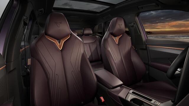 Cupra Terramar 1.5 TSI e-Hybrid 272 6DSG VZ Performance | 360 graden camera | Achteruitrijcamera | Draadloze Apple CarPlay(TM), Android Auto(TM)