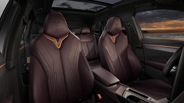 Cupra Terramar 1.5 TSI e-Hybrid 272 6DSG VZ Performance | 360 graden camera | Achteruitrijcamera | Draadloze Apple CarPlay(TM), Android Auto(TM)