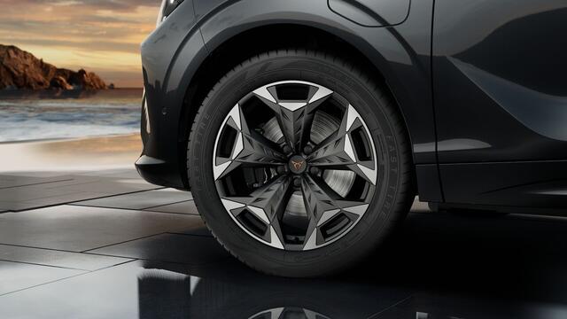 Cupra Terramar 1.5 TSI e-Hybrid 272 6DSG VZ Performance | 360 graden camera | Achteruitrijcamera | Draadloze Apple CarPlay(TM), Android Auto(TM)