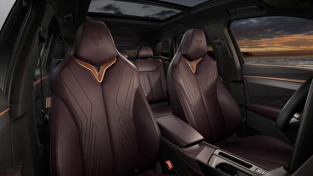 Cupra Terramar 1.5 TSI e-Hybrid 272 6DSG VZ Performance | 360 graden camera | Achteruitrijcamera | Draadloze Apple CarPlay(TM), Android Auto(TM)