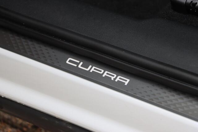 Cupra Terramar 1.5 TSI eTSI Business 150pk DSG7 | Memory | Keyless | Carplay