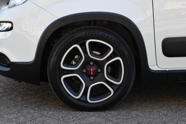 Fiat PANDA 1.0 Hybrid City Life|Orig.NL|1e eig.|Carplay
