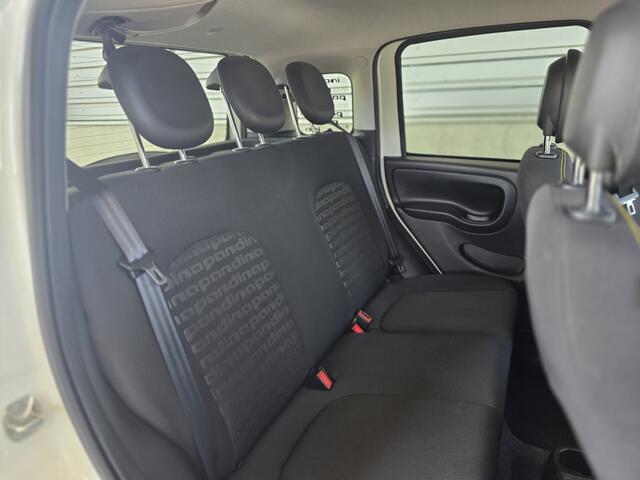 Fiat PANDA Hybrid Pandina | Digitaal dashboard | Apple carpl / Andr. auto |