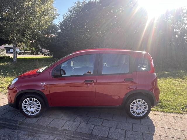 Fiat PANDA 1.0 Hybrid Pandina City AIRCO|DAB|BLEUTOOTH|USB|CRUISE CONTROL|PDC