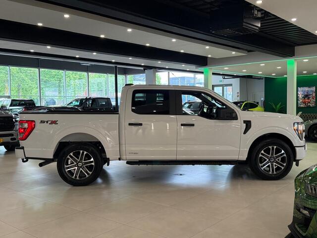 Ford (usa) F-150 V6 Ecoboost STX Sport Night Appearance Pack BPM-VRIJ