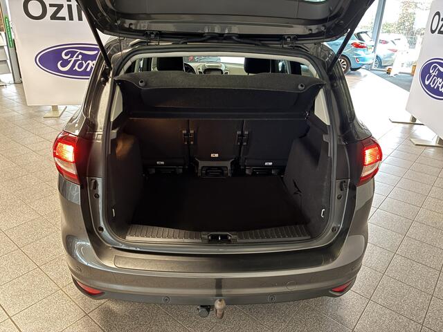 Ford C-MAX 125pk Titanium vol opties