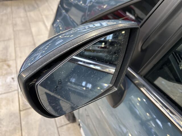 Ford ECOSPORT EcoBoost 125pk Titanium | Trekhaak | Camera | Cruise control | Dodehoek detectie | 1/2 Leer |