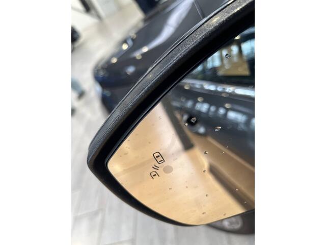 Ford ECOSPORT EcoBoost 125PK Titanium Trekhaak I Camera I Open dak I B&O I Dodehoek indicator