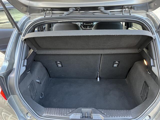 Ford FIESTA 1.0 Ecoboost 95 pk ST-line | Panoramadak | Apple carplay | Cruis