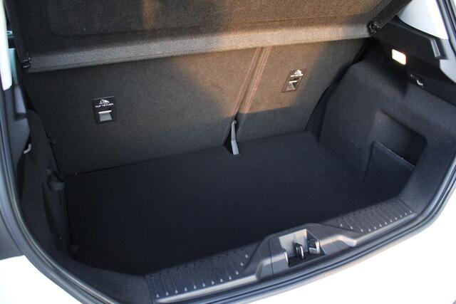 Ford FIESTA 1.0 EcoBoost Titanium | B&O Audio | Parkeersensoren | Stoelverwarming + Stuurverwarming | Camera | LED |