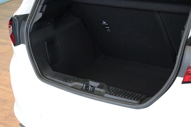 Ford FIESTA 1.0 EcoBoost Hybrid ST-Line X | NAVI / APPCONNECT | CAMERA + PDC | VRUIT / STUUR / STOELVERW | CRUISE | B&O AUDIO |