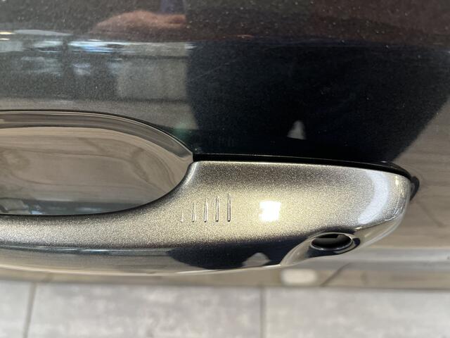 Ford FOCUS Wagon EcoBoost Hybrid 155 pk Active X | Pano | Winter Pack | Leder bekl. | Adapt. cruise | Draadloos Apple Carplay |