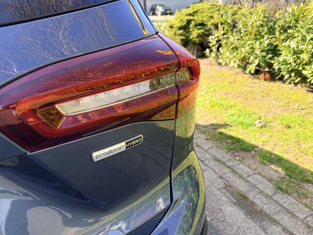 Ford FOCUS Wagon 1.0 EcoBoost 155PK Hybrid Active X AutomaatoPano