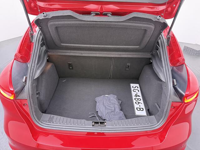 Ford FOCUS EcoBoost 125 pk ST-Line | Trekhaak | Voorruit verwarming | 18-inch | 100% dealer onderhouden