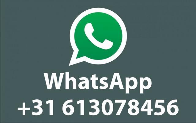 Ford KUGA 2.5 PHEV ST-LINE X / Trekhaak+20inch black+Driver+Techno+Winter