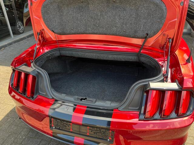 Ford MUSTANG Convertible 2.3 EcoBoost ZÉÉR MOOIE MUSTANG