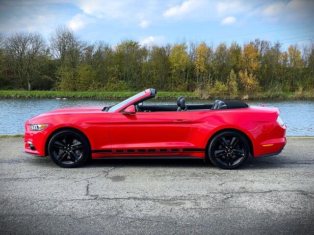 Ford MUSTANG Convertible 2.3 EcoBoost / 1 EIG / VOLLE HISTORIE