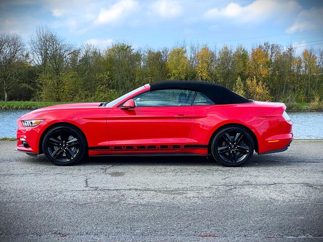 Ford MUSTANG Convertible 2.3 EcoBoost / 1 EIG / VOLLE HISTORIE