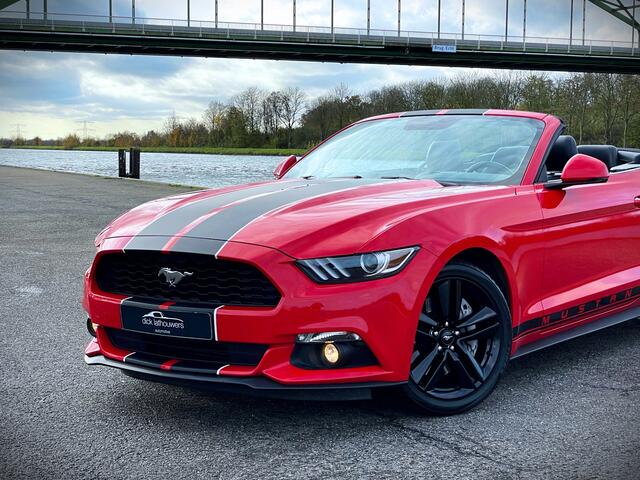 Ford MUSTANG Convertible 2.3 EcoBoost / 1 EIG / VOLLE HISTORIE
