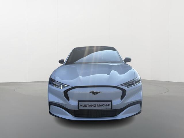 Ford MUSTANG Mach-E Premium AWD 75 kWh