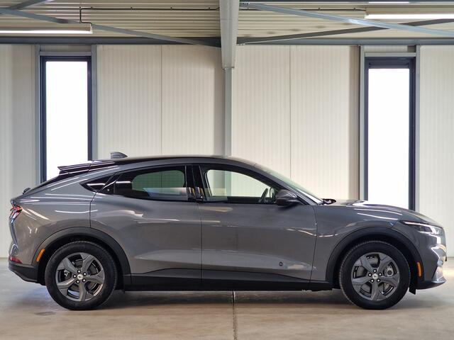 Ford MUSTANG Mach-E RWD 75 kWh 270pk | ACC | Stoel- en stuurverwarming | Verkeersbord detectie |