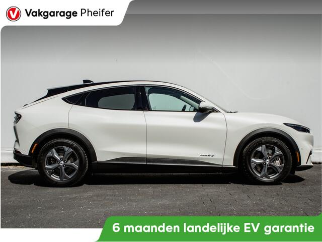 Ford MUSTANG Mach-E RWD 75 kWh Panoramadak/ B&O/ Lederen int./ 360 Camera/ Stoel-stuurverwarming/ Elektr. achterklep