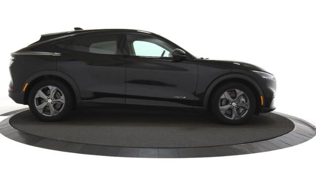 Ford MUSTANG Mach-E RWD 75 kWh Panoramadak / 360 camera / SOH 92,5% / Adpt Cruise / Leer