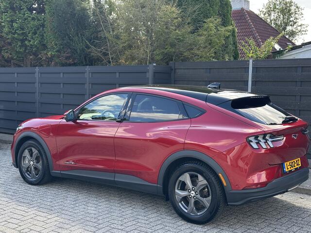 Ford MUSTANG Mach-E Extended RWD 98 kWh | Pano | Adapt. Cruise | Rondomzicht camera | Stoel, Stuur & Voorruitverwarming | | Elekt. bestuurdersstoel | B&O | Leder