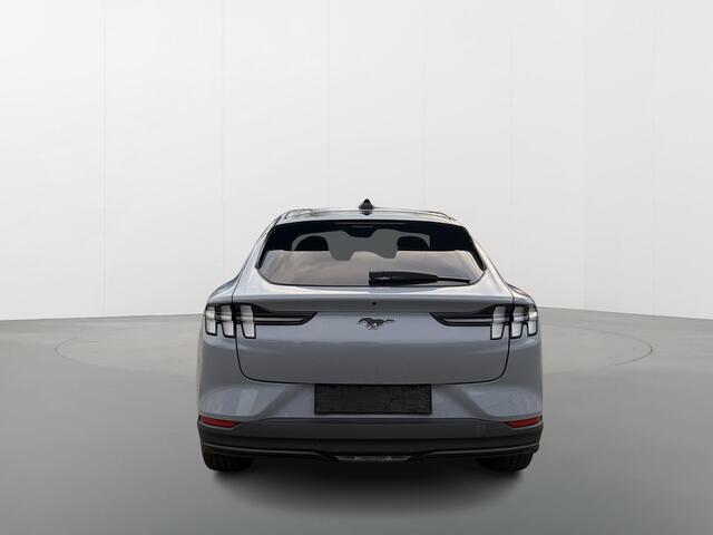 Ford MUSTANG Mach-E Standard RWD 72,6 kWh | Adaptieve Cruise Control | Stoel,- Stuur & Voorruitverwarming | Warmtepomp