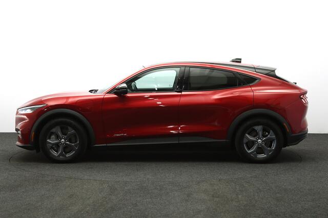 Ford MUSTANG Mach-E RWD 75 kWh 270 PK, SOH 97%, Leder, Adap. Cruise Control, Camera, Carpaly