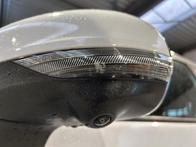 Ford PUMA EcoBoost Hybrid 155 pk ST-Line X | Trekhaak | Winter Pack | 360° Camera | B&O | Matrix LED | Adapt. cruise