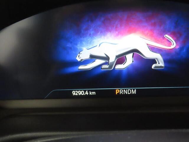 Ford PUMA Eco Hybrid Automaat ST-Line X Navi Camera Trekhaak Winter Parking Dodehoek El. Klep 9.200km!! NL-Auto