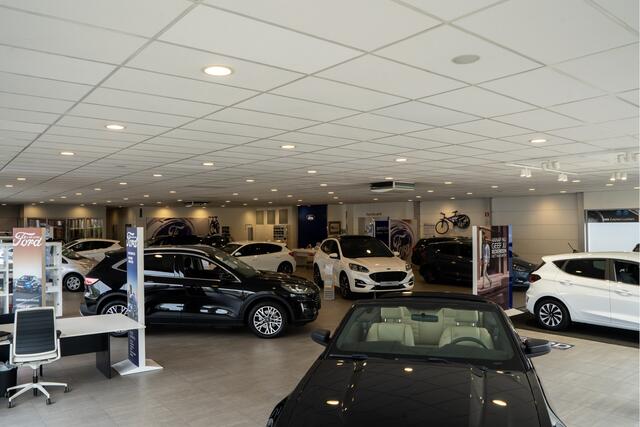 Ford PUMA 1.0 Hybrid Titanium 125pk AUTOMAAT | 360 CAMERA | WINTERPACK | ADAPTIEF CRUISE | ELEKTR.KLEP | BLIS