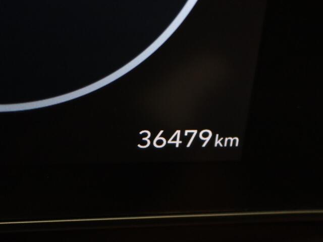 Hyundai Kona 1.6 GDI HEV N Line Sky Panoramadak