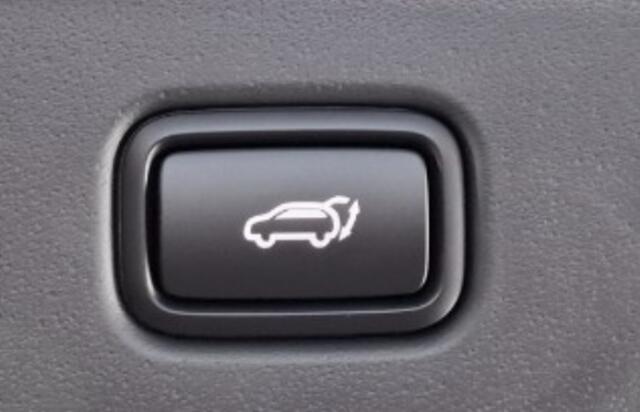 KIA Niro 1.6 GDi PHEV DynamicPlusLine Camera / Navigatie / Nieuwe Auto