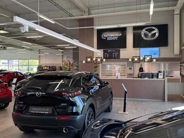 KIA Niro 1.6 GDi Hybrid DynamicLine / Trekhaak / Clima / Navi