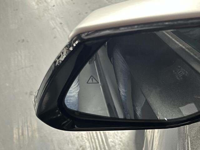 KIA Niro 1.6 GDi Hybrid DynamicPlusLine met trekhaak en weinig kilometers!