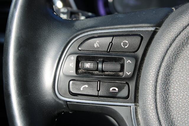 KIA Niro 1.6 GDi Hybrid DynamicLine//Trekhaak!!