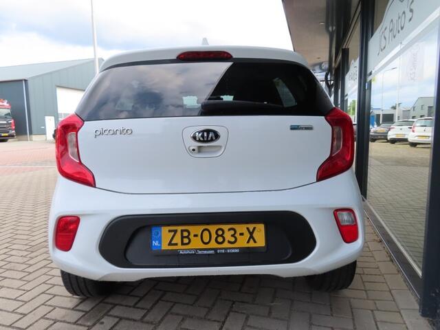 KIA PICANTO 1.0 CVVT Design Edition Ecc Cruise Leder Navi Camera 2019