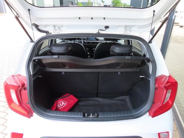 KIA PICANTO 1.0 CVVT Design Edition Ecc Cruise Leder Navi Camera 2019