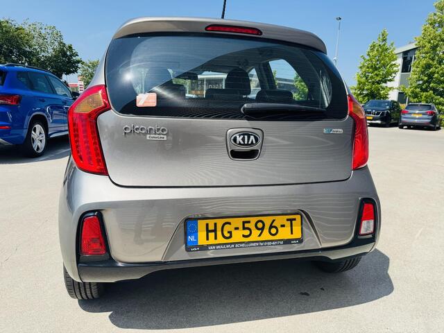 KIA PICANTO 1.2 DynamicLine 85pk Clima | Cruise | LM velgen | Airco
