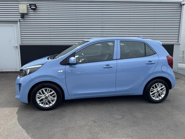 KIA PICANTO 1.0 DPi DynamicLine 1e eign. Nieuw geleverd en dealeronderhouden, Apple Carplay en/of Android auto navigatie, Achteruitrijcamera, Cruise control, Airco