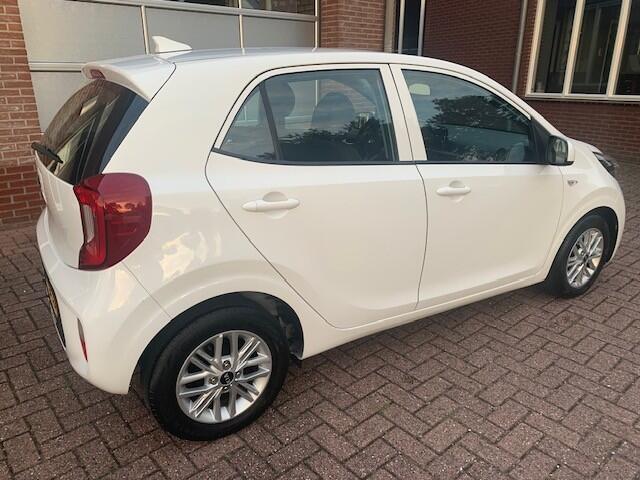 KIA PICANTO 1.0 DPi DynamicLine Cruise - Camera - Apple Carplay/ Android