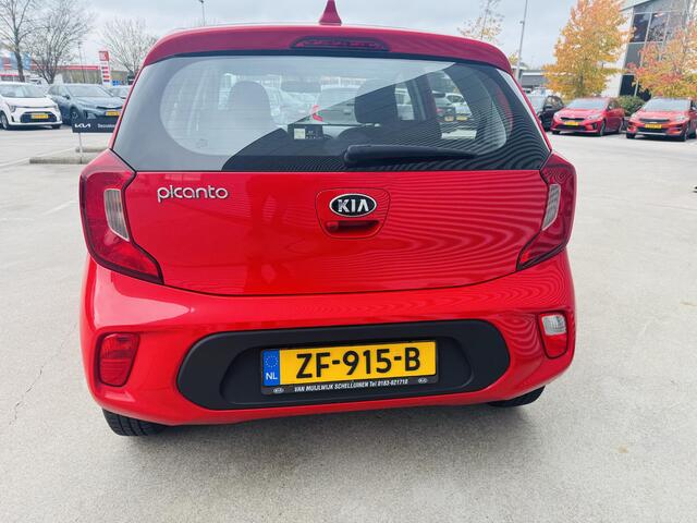KIA PICANTO 1.0 MPi DynamicLine Navi | Camera | Cruise | Dealer onderhouden !