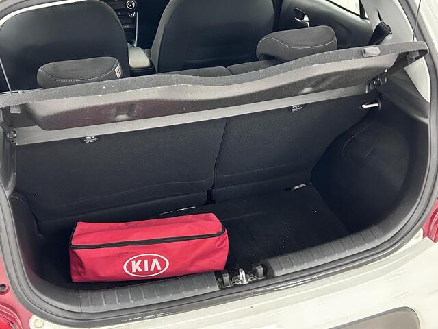 KIA PICANTO 1.0 CVVT DynamicPlusLine NAVIGATIE | ACHTERUITRIJCAMERA | LICHTMETALEN VELGEN