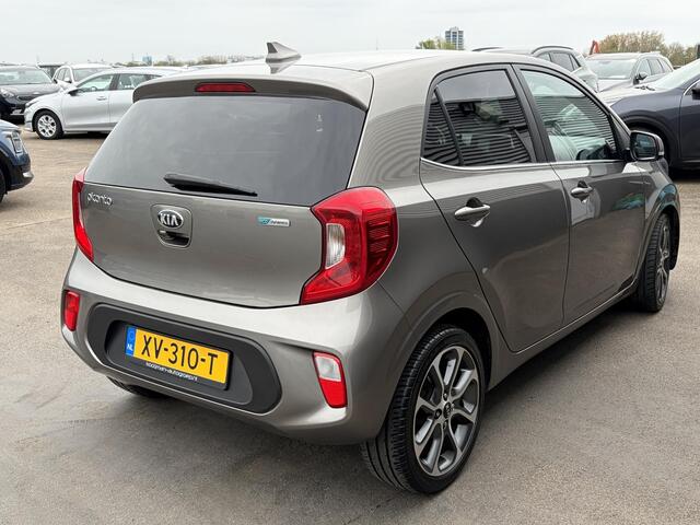 KIA PICANTO 1.0 CVVT Design Edition Nieuw geleverd & dealeronderhouden, Lederen bekleding, Climate control, Cruise control, Navigatie, Privacy glass, LMV,